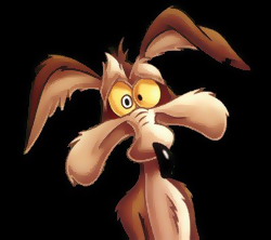  Le Coyote!