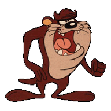 Taz!